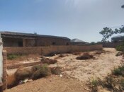 Продаётся  участок 12 сот, пос. Пиршаги, photo 6 from 8