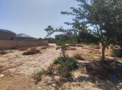 Продаётся  участок 12 сот, пос. Пиршаги, photo 7 from 8