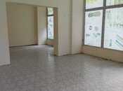 Сдаётся  объект 55 м², м. Ази Асланов, photo 3 from 7