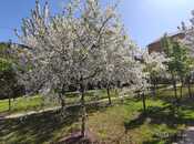 Продаётся  участок 20 сот, м. Насими, photo 4 from 7