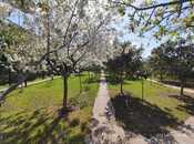 Продаётся  участок 20 сот, м. Насими, photo 6 from 7