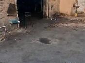 Объявление №5494281 - Баку, м. Дернегюль, 1600 м²