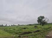 Satılır  torpaq 400 sot, photo 5 from 8