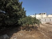 Satılır  torpaq 6 sot, Şüvəlan q., photo 6 from 8