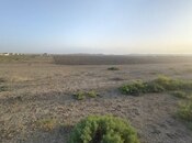 Elan №5501044 - Bakı, Ələt q., 800 sot