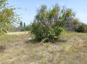 Satılır  torpaq 12 sot, Novxanı q., photo 4 from 8