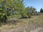 Satılır  torpaq 12 sot, Novxanı q., photo 2 from 8