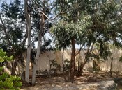 5 otaqlı həyət evi/bağ evi - Fatmayı q. - 200 m²