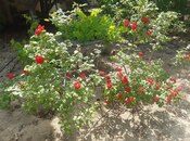 Продаётся 5-комн. дом/дача 200 м², пос. Фатмаи, photo 5 from 8