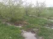 Satılır  torpaq 168 sot, photo 4 from 8