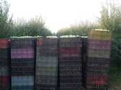 Satılır  torpaq 168 sot, photo 7 from 8