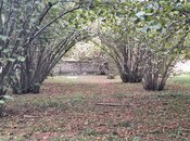 Satılır  torpaq 33 sot, photo 2 from 8