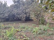 Satılır  torpaq 33 sot, photo 7 from 8