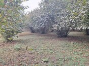 Satılır  torpaq 33 sot, photo 6 from 8