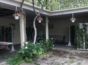 Сдаётся  объект 480 м², м. Низами, photo 2 from 8