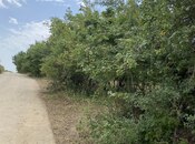 Satılır  torpaq 100 sot, photo 7 from 8