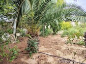 Satılır 11 otaqlı həyət evi/bağ evi 170 m², Nardaran q., photo 7 from 8