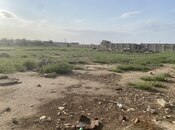 Продаётся  участок 60 сот, пос. Бузовна, photo 5 from 8