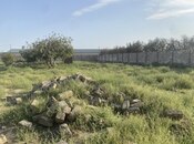 Продаётся  участок 60 сот, пос. Бузовна, photo 7 from 8