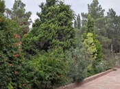 Satılır 5 otaqlı həyət evi/bağ evi 240 m², Nardaran q., photo 5 from 8