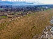 Сдаётся  участок 3 000 сот, photo 2 from 2