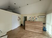 Сдаётся 7-комн. офис 400 м², м. Низами, photo 5 from 8