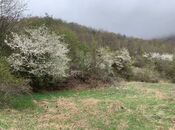 Продаётся  участок 12 сот, photo 8 from 8