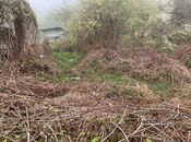 Satılır  torpaq 12 sot, photo 2 from 6