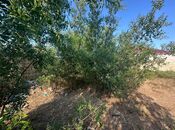 Satılır  torpaq 11 sot, Bilgəh q., photo 4 from 4