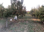 Продаётся  участок 2.5 сот, пос. Ахмедлы, photo 3 from 3