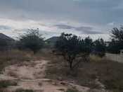 Продаётся  участок 25 сот, пос. Сарай, photo 2 from 3