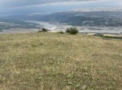 Elan №5529250 - Şamaxı, Şamaxı, 12 sot