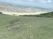 Satılır  torpaq 12 sot, photo 4 from 5