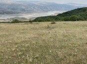 Satılır  torpaq 12 sot, photo 2 from 5