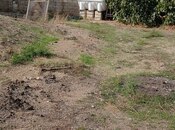 Satılır 5 otaqlı həyət evi/bağ evi 200 m², Türkan q., photo 8 from 8