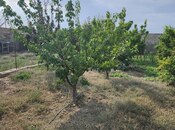 Продаётся  участок 8 сот, пос. Ашагы Гюздек, photo 7 from 8