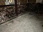 Сдаётся  объект 200 м², м. 28 мая, photo 6 from 8