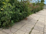 3 otaqlı həyət evi/bağ evi - Bilgəh q. - 140 m²