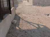 Продаётся  участок 5 сот, пос. Тюркан, photo 4 from 5