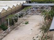 Satılır  obyekt 1 550 m², Türkan q., photo 4 from 8