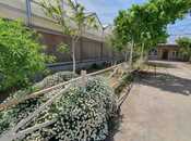 Elan №5544648 - Bakı, Türkan q., 1550 m²