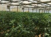 Продаётся  объект 1 550 м², пос. Тюркан, photo 6 from 8