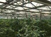 Продаётся  объект 1 550 м², пос. Тюркан, photo 4 from 8