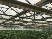 Продаётся  объект 1 550 м², пос. Тюркан, photo 5 from 8