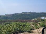 Torpaq - Şamaxı - 12 sot