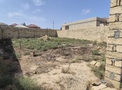 Elan №5548657 - Bakı, Digah q., 6 sot