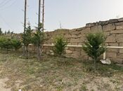 Объявление №5549232 - Баку, пос. Шаган, 10 сот