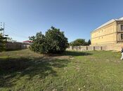 Elan №5558551 - Bakı, Buzovna q., 10 sot