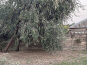 Продаётся  участок 4.6 сот, пос. Новханы, photo 5 from 5