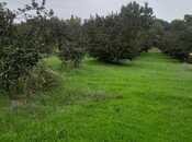 Продаётся  участок 40 сот, photo 7 from 7